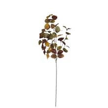 Shop Yellow & Green Eucalyptus Stem by Ashland® from Michael's on Openhaus